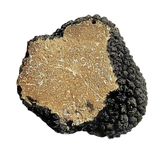 Tartufo Fresco Estivo